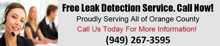 Free Leak Detection